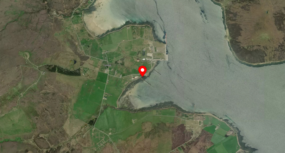 Image of Lyness